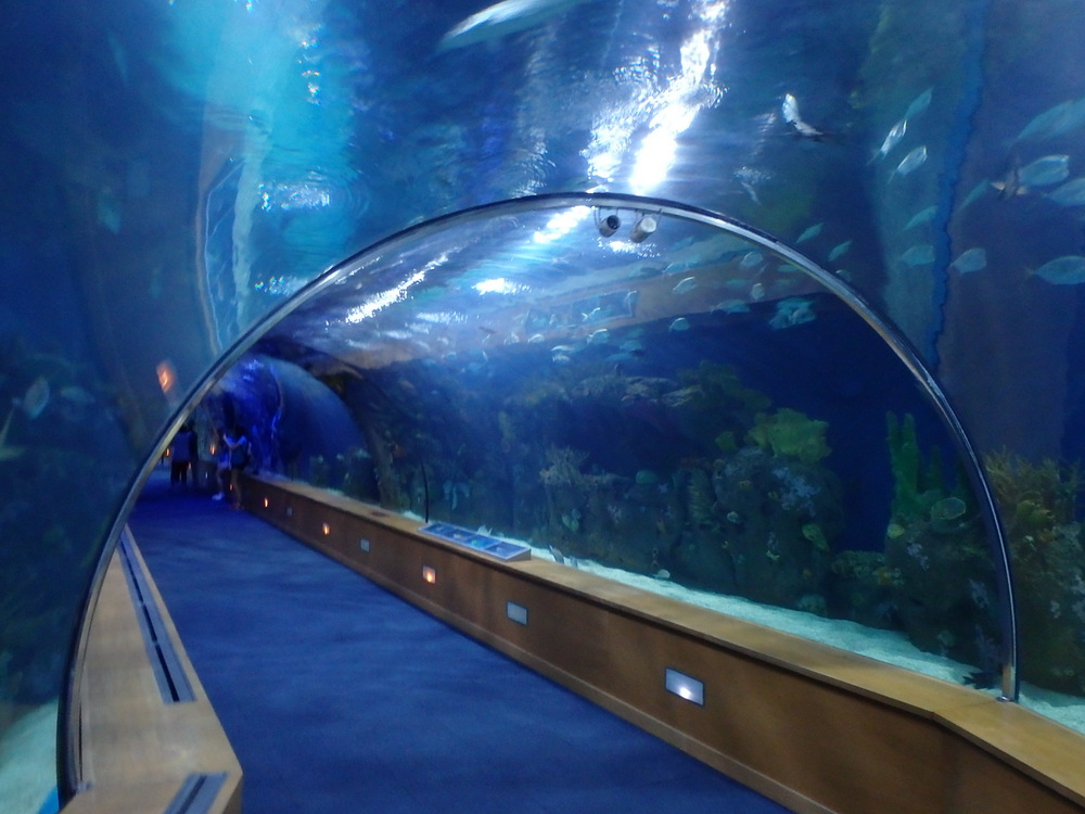 L'Oceanogràfic Center.